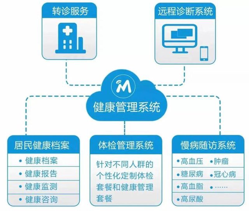成为健康管理师：开启健康守护之旅